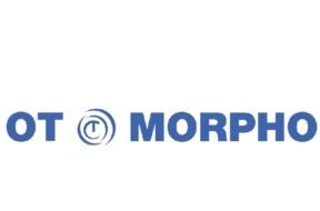 OT Morpho_1501051489
