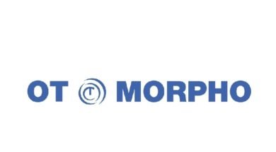 OT Morpho_1501051489