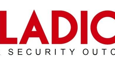 Paladion_Logo