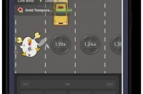 chicken-road-chicken.jpg